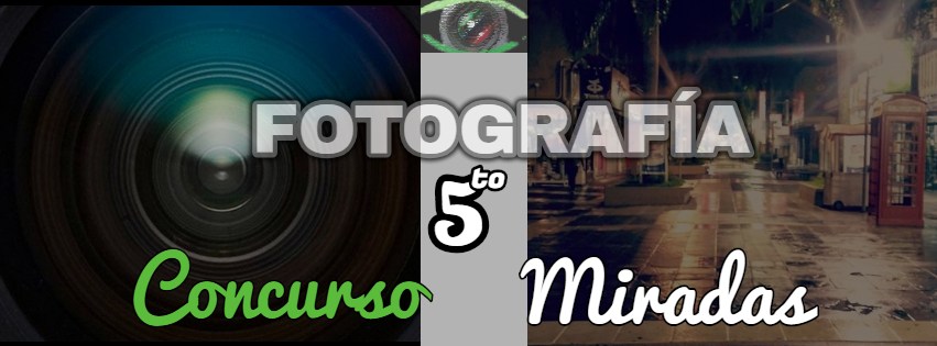 Concurso Fotografias Miradas