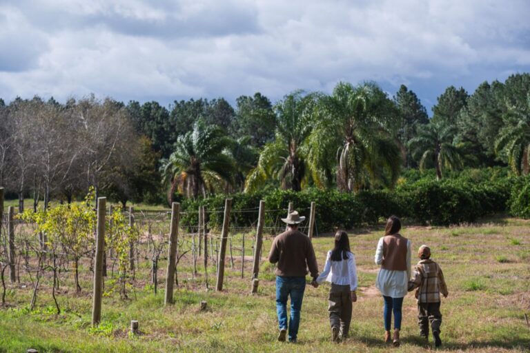 Entre Ríos vivió un invierno turístico positivo con casi 737 mil visitantes