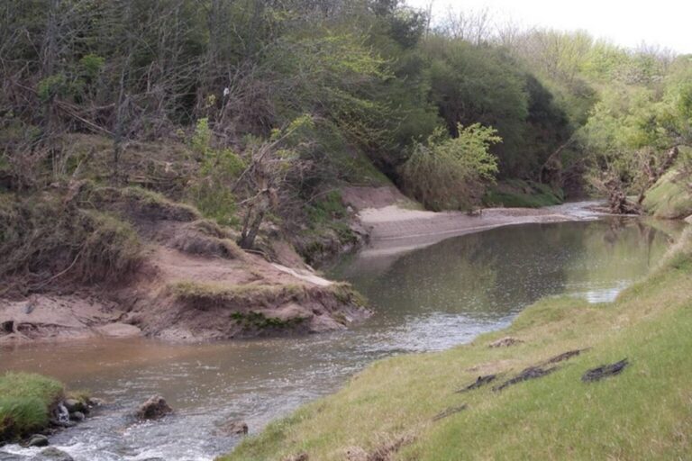 Entre Ríos celebrará el Día Nacional del Patrimonio Natural con una jornada sobre turismo y conservación